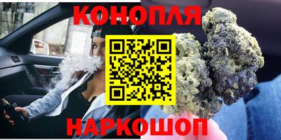 индика Гусь-Хрустальный