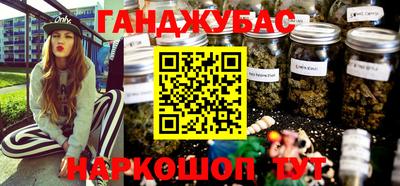 спайс Гагарин