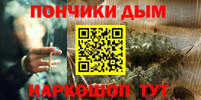 амф Гатчина