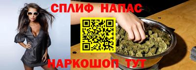 амф Гатчина